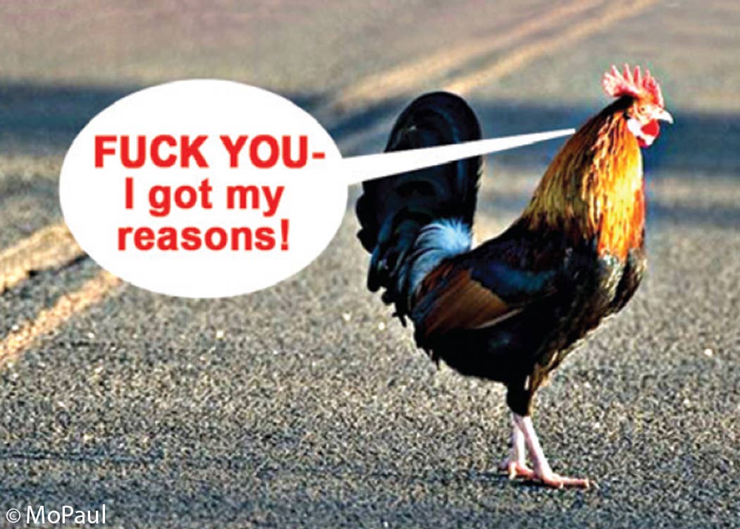 Ephemera - Magnet-Fuck you - I got my reasons! (chicken crossing road)