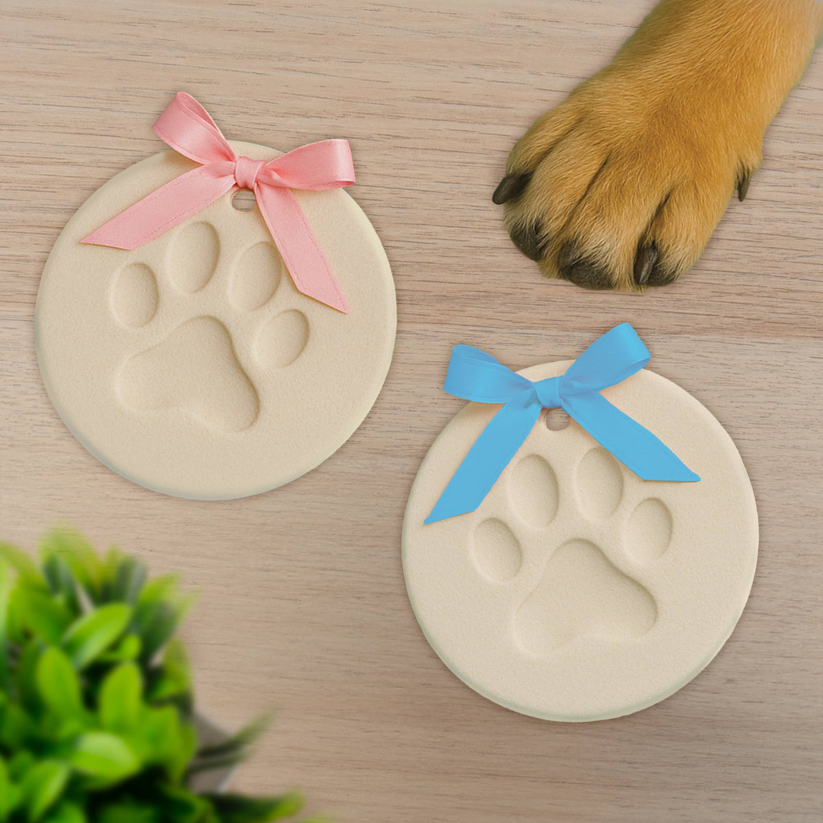 Gift Republic - Paw Clay Impressions