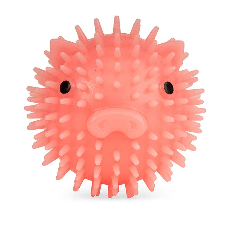 Kikkerland Design Inc - Piggy Dog Ball