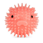 Kikkerland Design Inc - Piggy Dog Ball