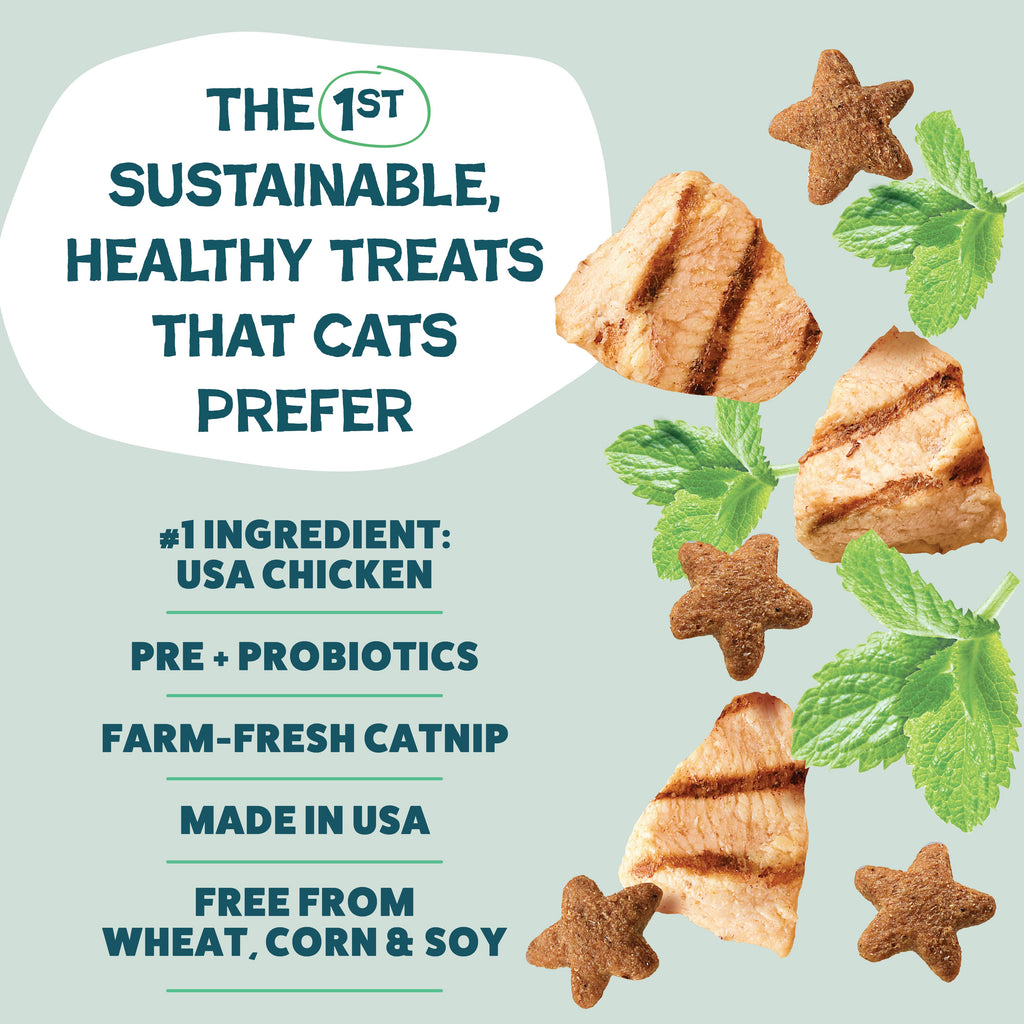 Shameless Pets - Catnip N Chill Crunchy Cat Treats - Chicken