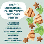 Shameless Pets - Catnip N Chill Crunchy Cat Treats - Chicken