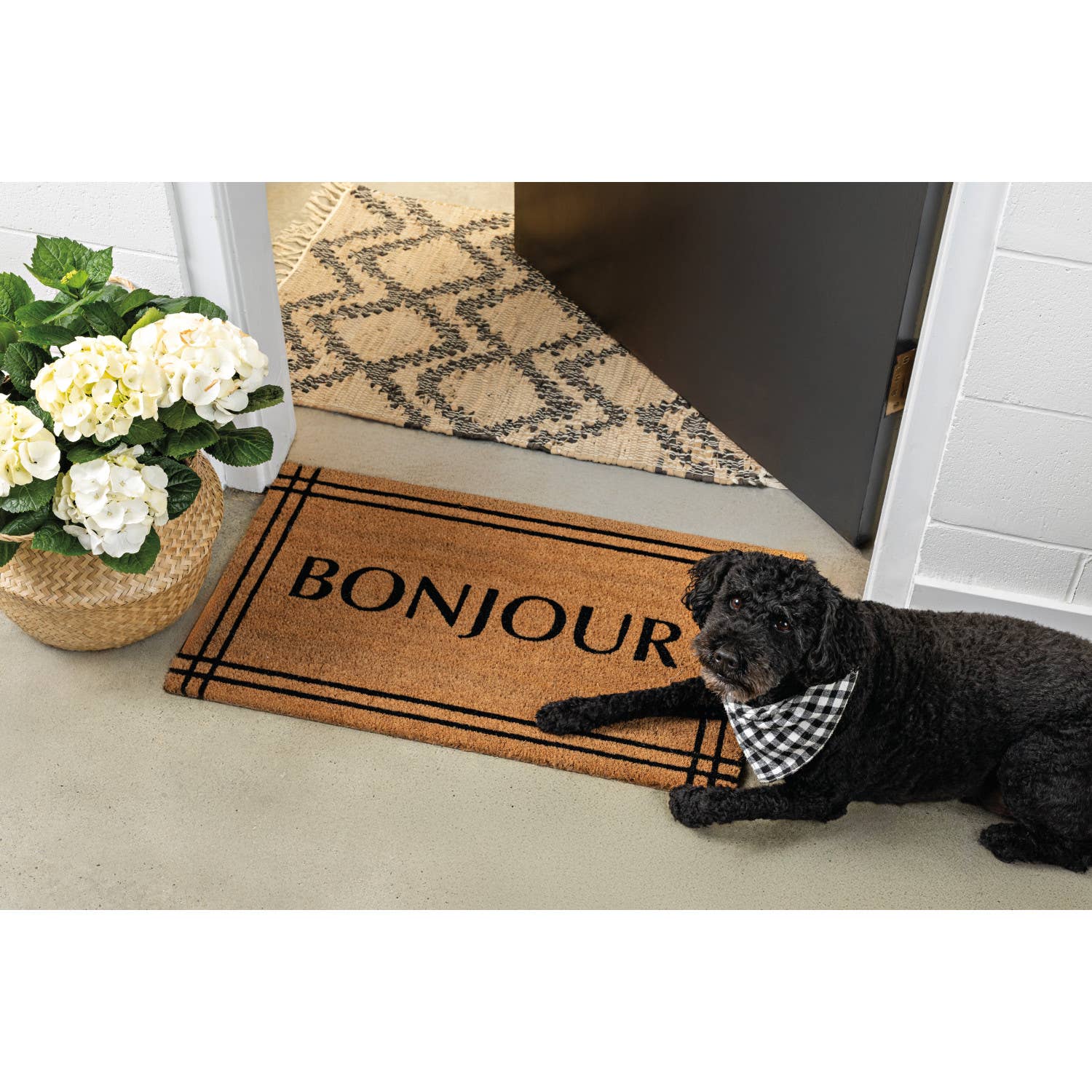 Now Designs by Danica - Bonjour Doormat