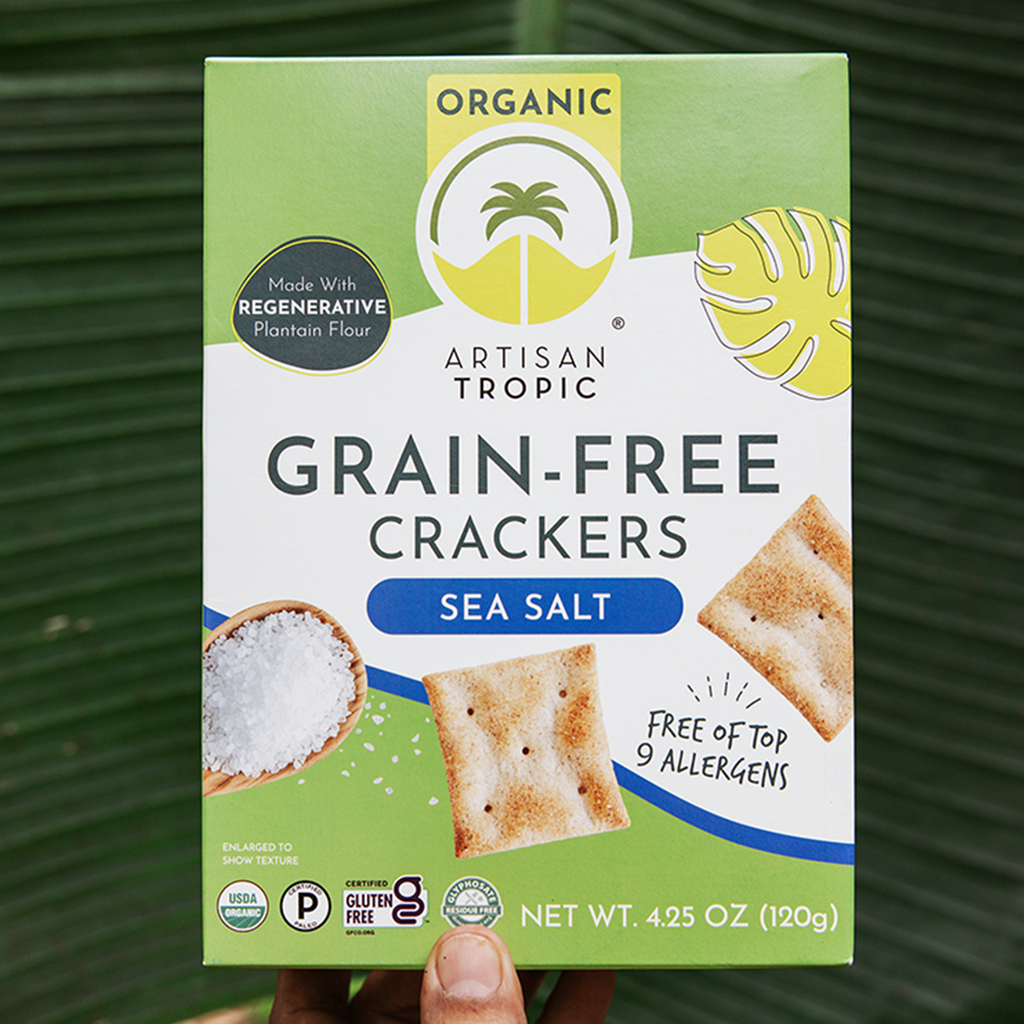 Artisan Tropic - 4.25 oz Organic Grain-Free Crackers: Sea Salt