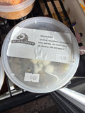 Black Sheep Quinoa Salad