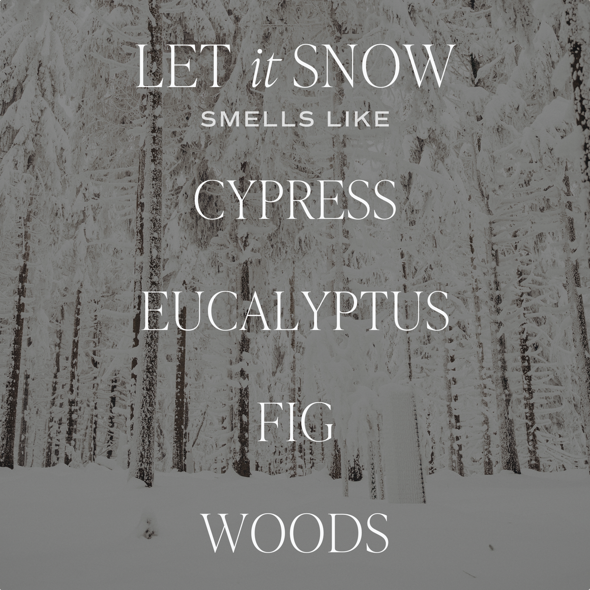 Sweet Water Decor - Let It Snow 11 oz Soy Candle