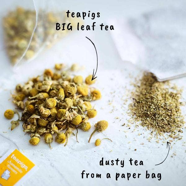 teapigs - Chamomile Flowers Tea- 15 temples