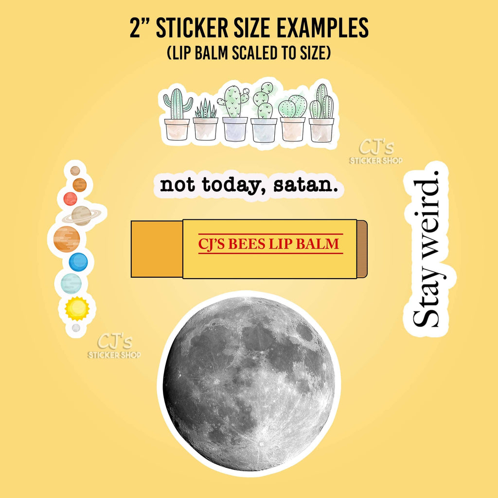 CJ's Sticker Shop - *You're Sticker Funny Vinyl Decal