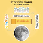 CJ's Sticker Shop - *You're Sticker Funny Vinyl Decal