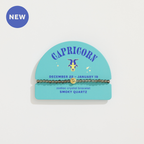 GeoCentral - Capricorn Mini Zodiac Bracelet – 4mm Crystal Beads