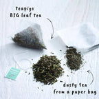 teapigs - Peppermint Tea - Sample Pack