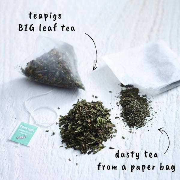 teapigs - Peppermint Tea - Sample Pack