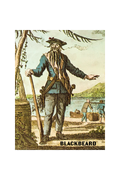 House of Swank Clothing - Blackbeard Pirate Full Color Sticker