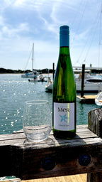 Well Told-Beaufort, NC- Stemless Wine Glass