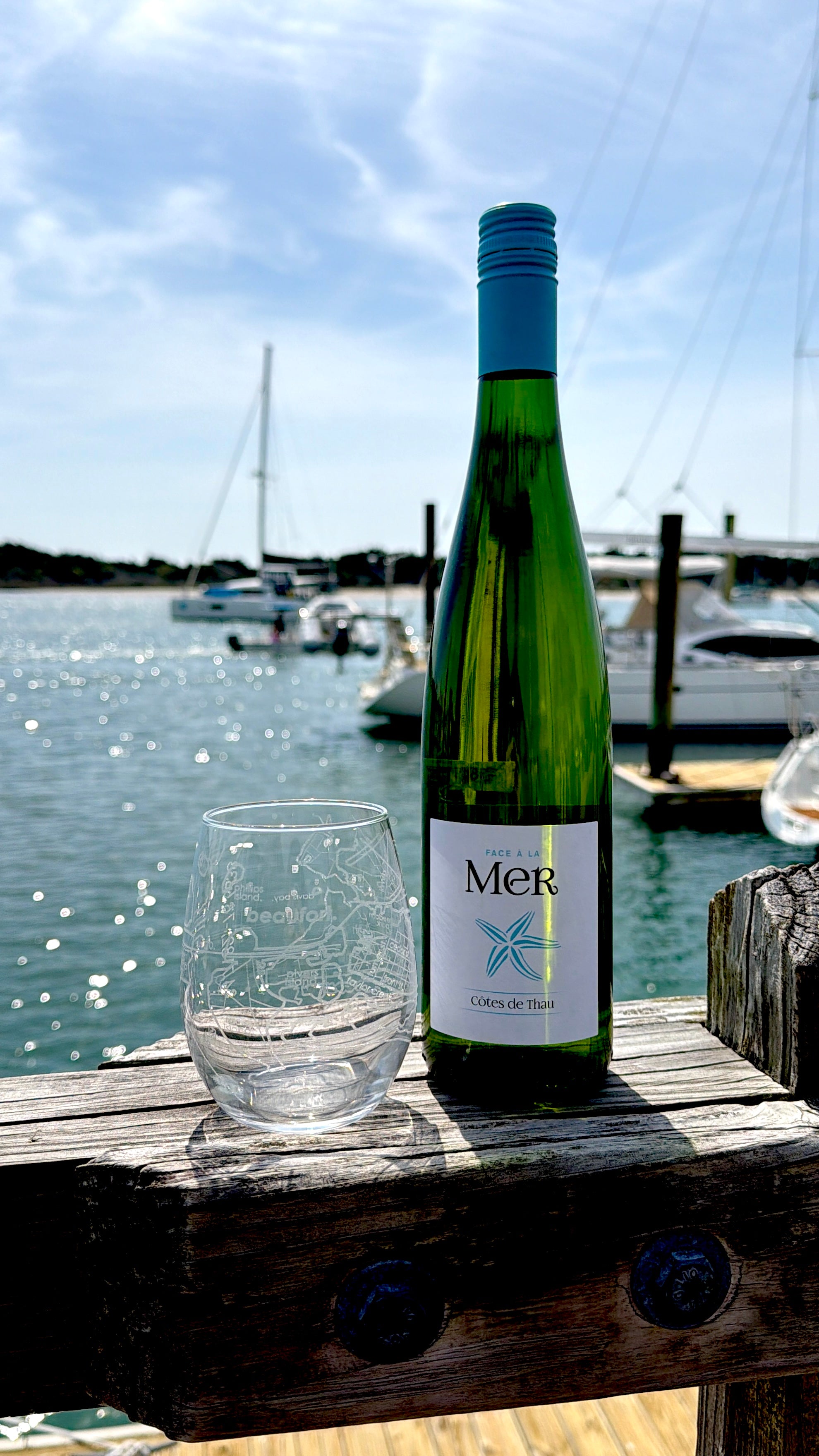 Well Told-Beaufort, NC- Stemless Wine Glass