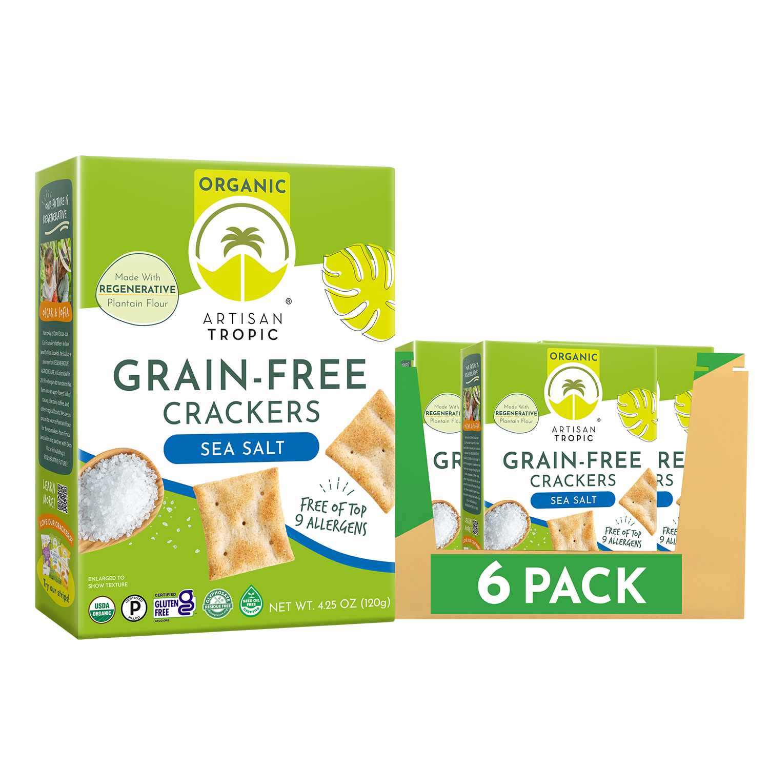 Artisan Tropic - 4.25 oz Organic Grain-Free Crackers: Sea Salt