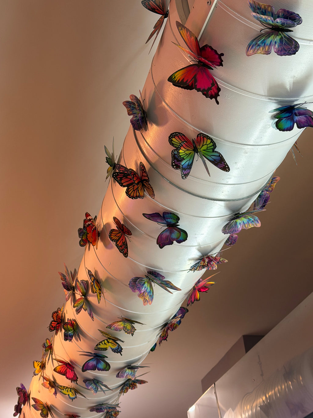 Flutter Gallery - Surprise Butterfly