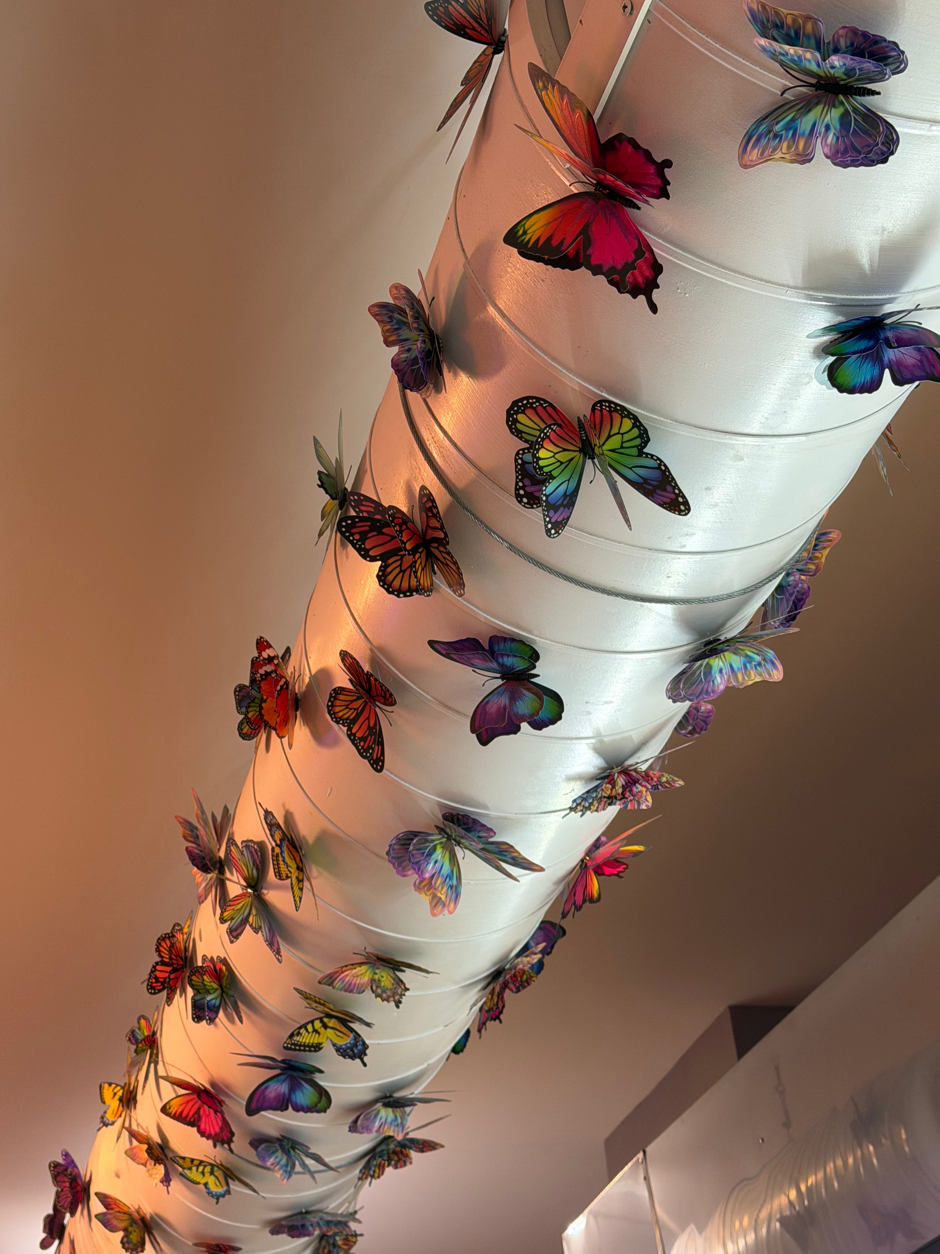 Flutter Gallery - Surprise Butterfly
