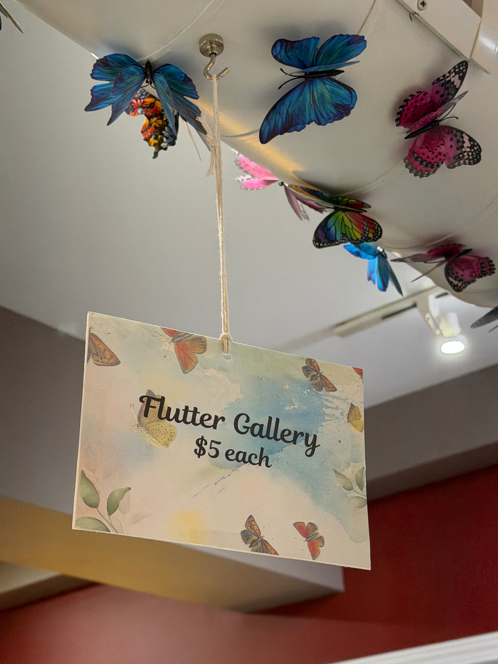 Flutter Gallery - Surprise Butterfly