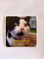 Cat Lovers Bundle