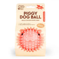 Kikkerland Design Inc - Piggy Dog Ball