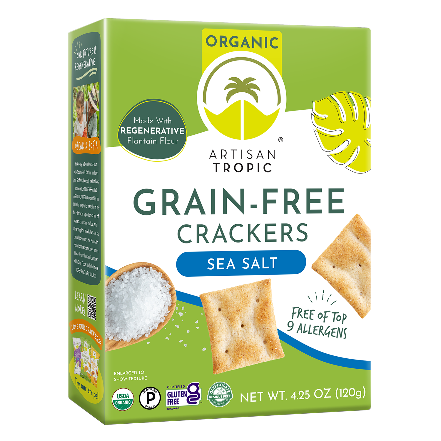 Artisan Tropic - 4.25 oz Organic Grain-Free Crackers: Sea Salt