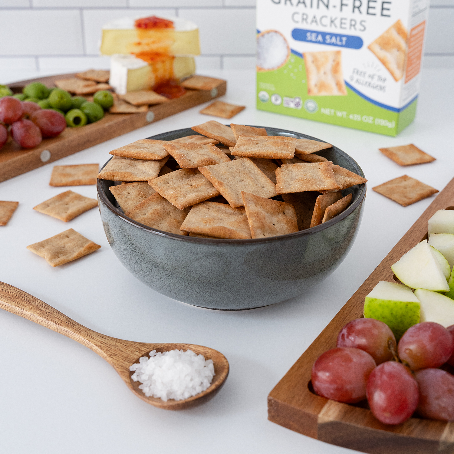 Artisan Tropic - 4.25 oz Organic Grain-Free Crackers: Sea Salt