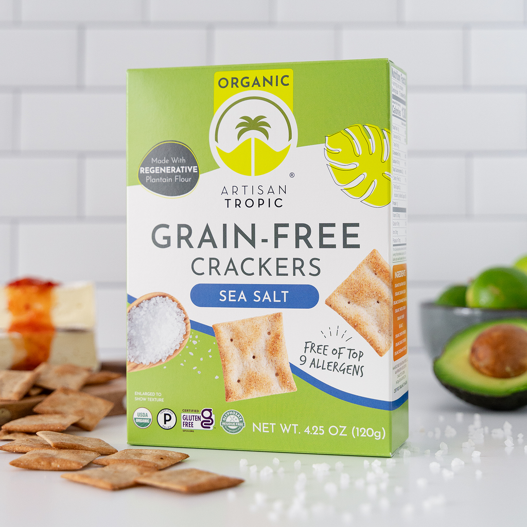 Artisan Tropic - 4.25 oz Organic Grain-Free Crackers: Sea Salt