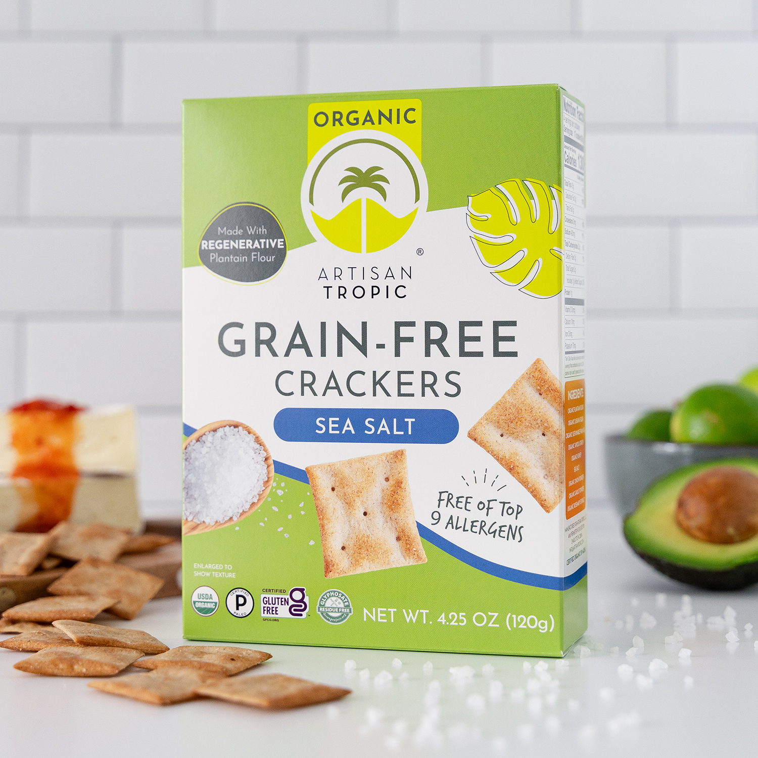 Artisan Tropic - 4.25 oz Organic Grain-Free Crackers: Sea Salt