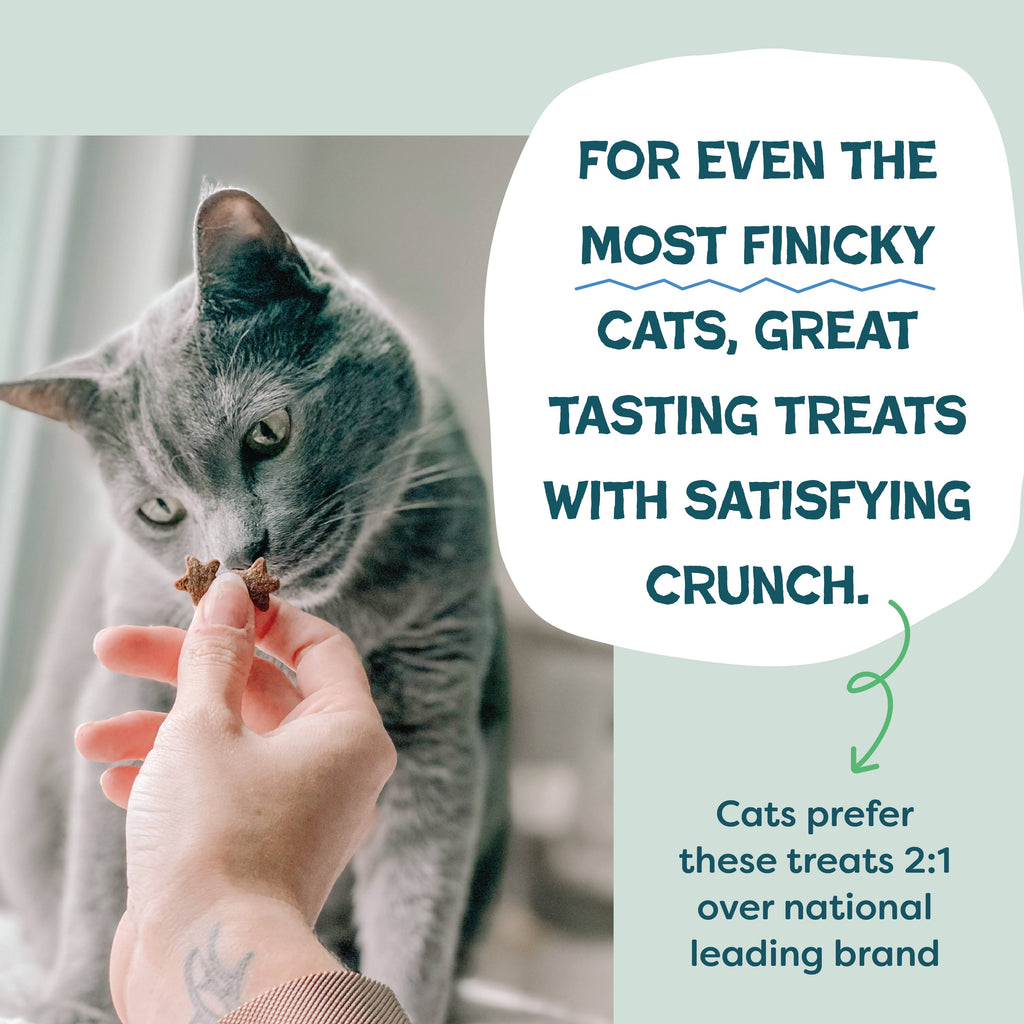 Shameless Pets - Catnip N Chill Crunchy Cat Treats - Chicken