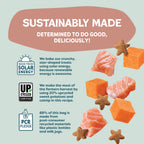 Shameless Pets - Yam Good Salmon Crunchy Cat Treats