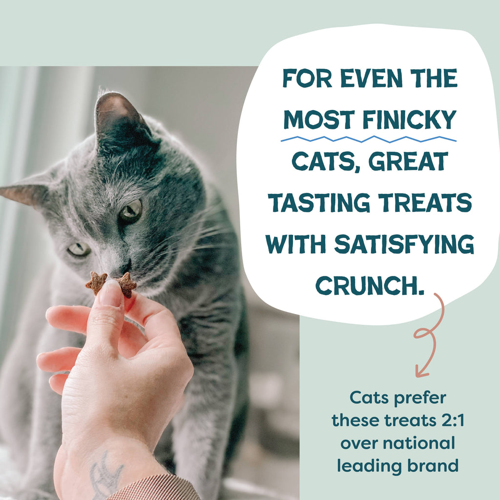 Shameless Pets - Yam Good Salmon Crunchy Cat Treats