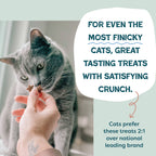 Shameless Pets - Yam Good Salmon Crunchy Cat Treats