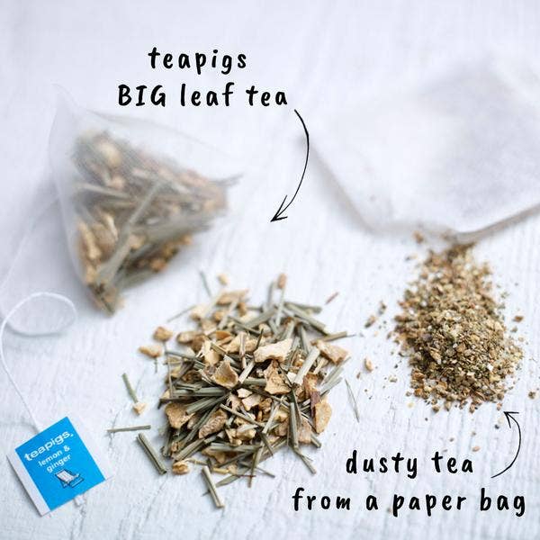 teapigs - Lemon & Ginger Tea - 15 Temples