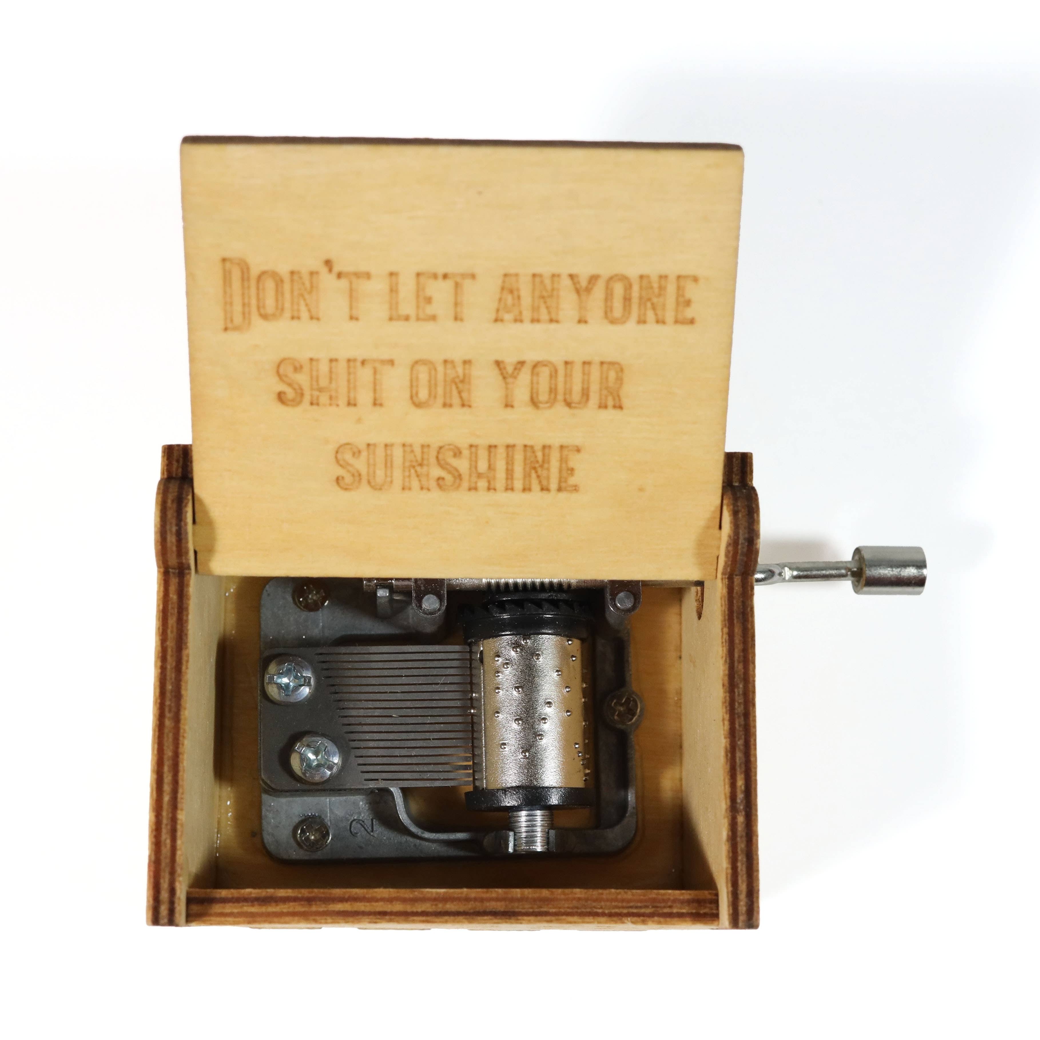 Bad Betty Greeting Co. - Funny "You Are My Sunshine" Hand-Crank Music Box