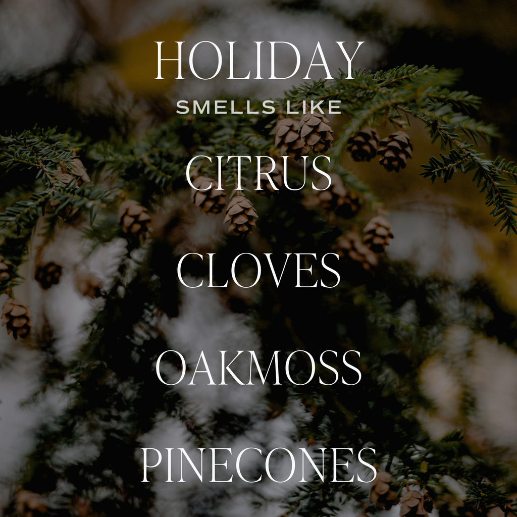 Sweet Water Decor - Holiday 15 oz Soy Candle