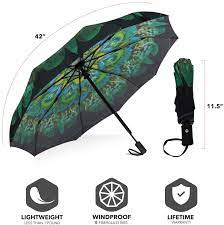 Siepasa - Umbrella