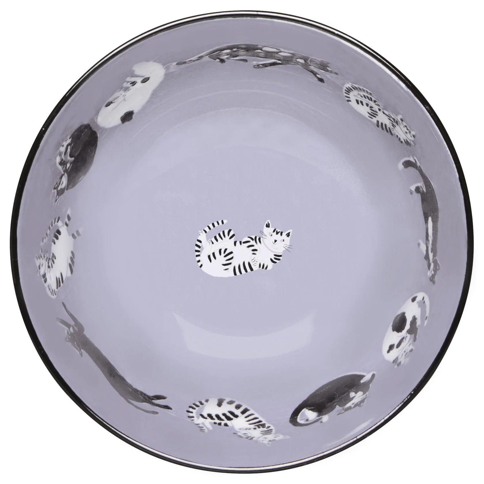 Danica - Meow & Furever Bowls