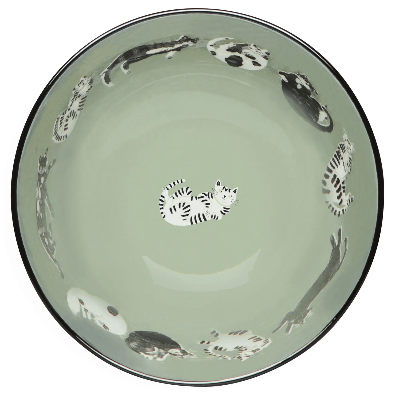 Danica - Meow & Furever Bowls