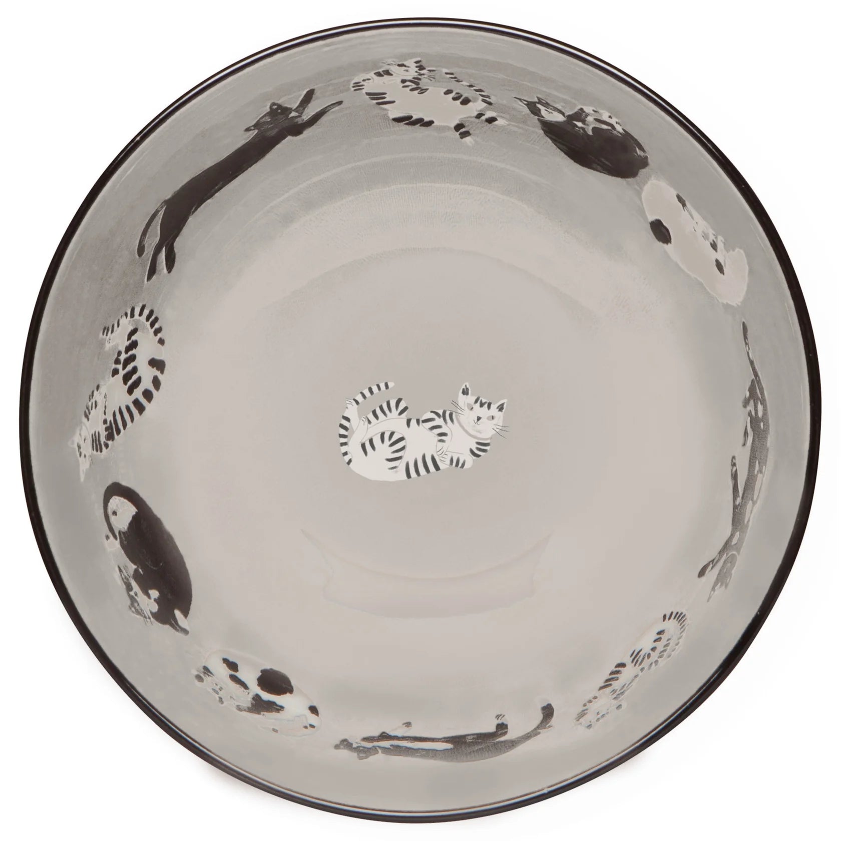 Danica - Meow & Furever Bowls
