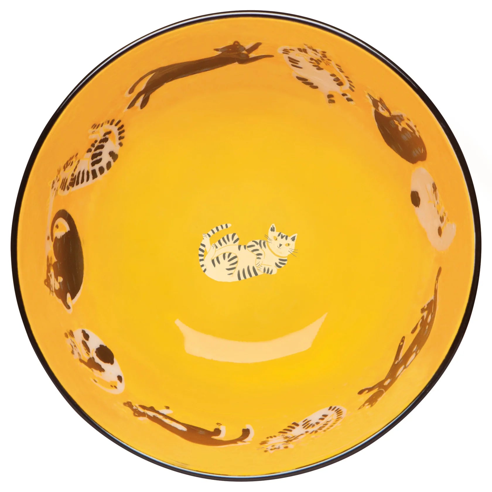 Danica - Meow & Furever Bowls